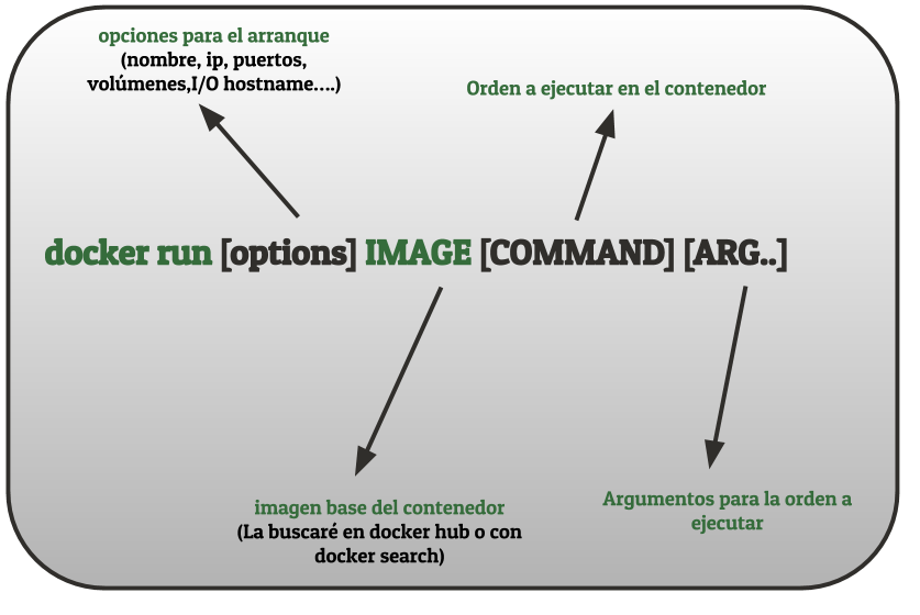 Estructura general docker run Estructura general docker run