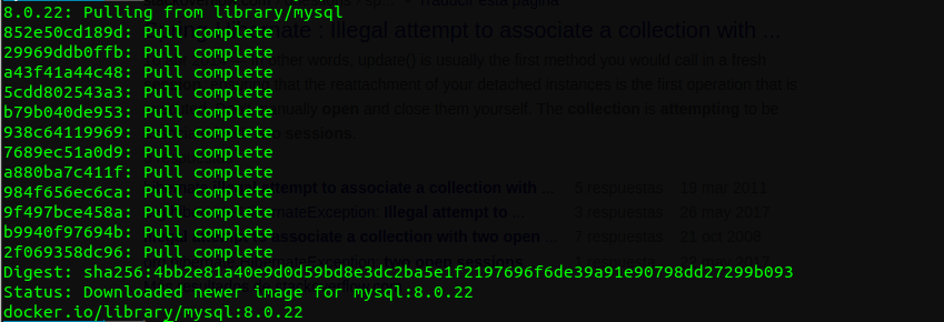 Resultado: docker pull mysql:8.0.22 Resultado: docker pull mysql:8.0.22