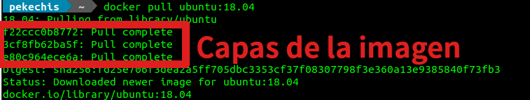 Capas de una imagen docker Capas de una imagen docker
